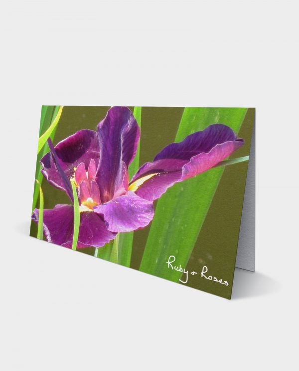 card-11