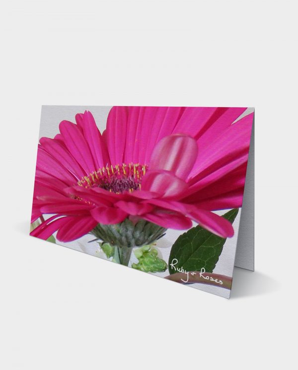 card-12