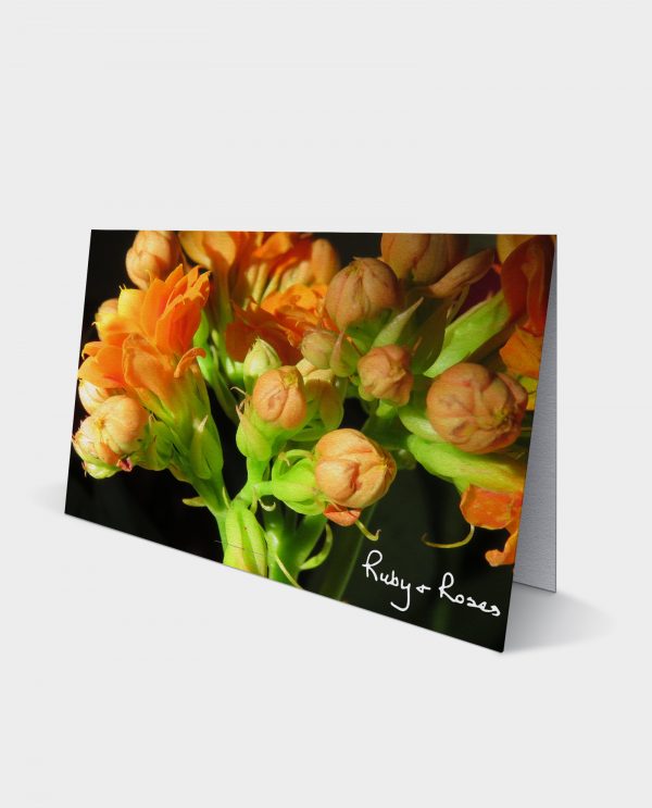 card-15